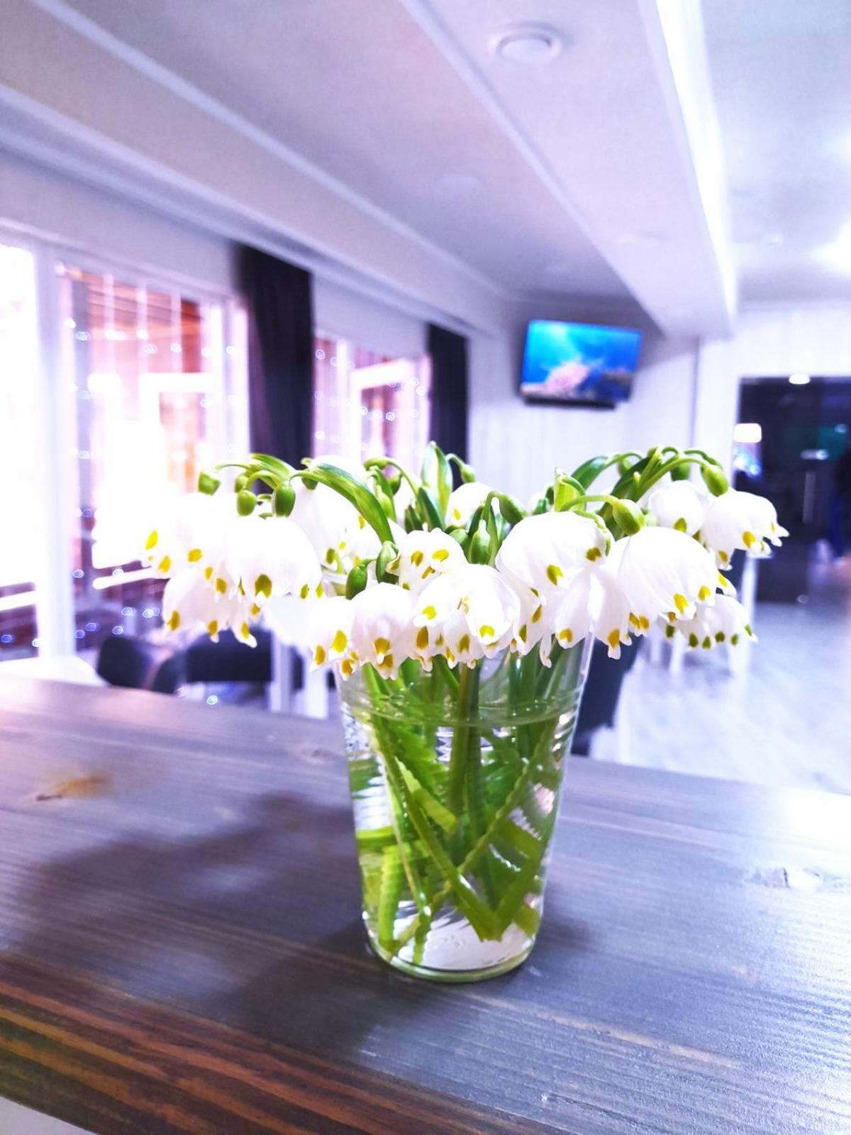 Hotel Four Seasons In Carpathians Migovo Exterior foto